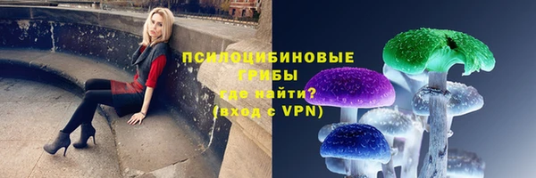 MDMA Premium VHQ Дмитровск