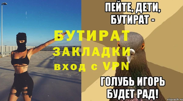 индика Дмитров
