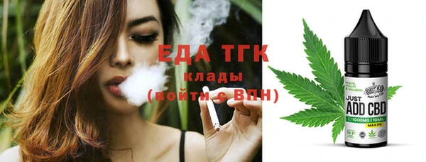 индика Дмитров