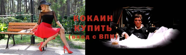 индика Дмитров