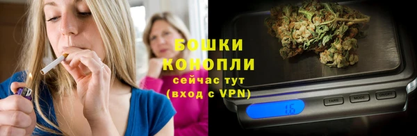 индика Дмитров
