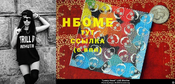 индика Дмитров