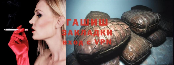 индика Дмитров