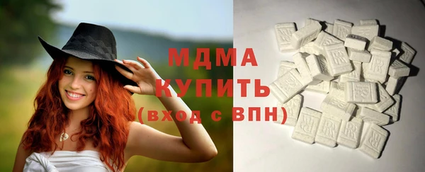 индика Дмитров