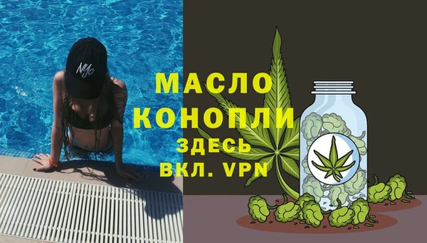 индика Дмитров