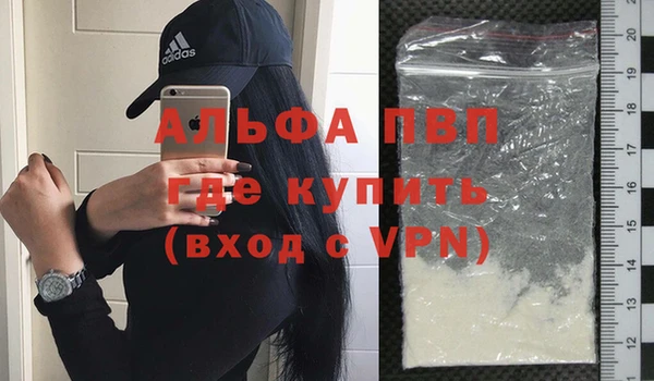 индика Дмитров