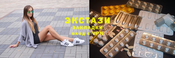 индика Дмитров