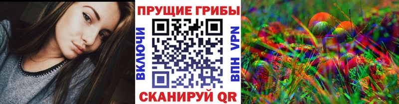 Купить закладки  Лесосибирск  Псилоцибиновые грибы MAGIC MUSHROOMS 